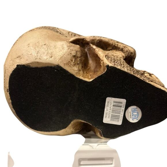 EBROS Norse Viking Skull Figurine 7" Length Fantasy Sculpture - Picture 7 of 8